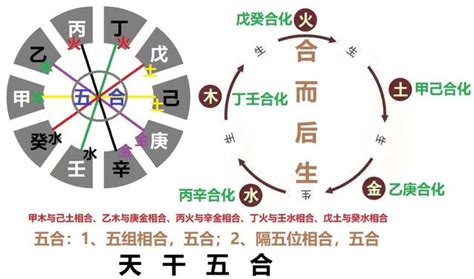 乙庚合化金|天干五合详解